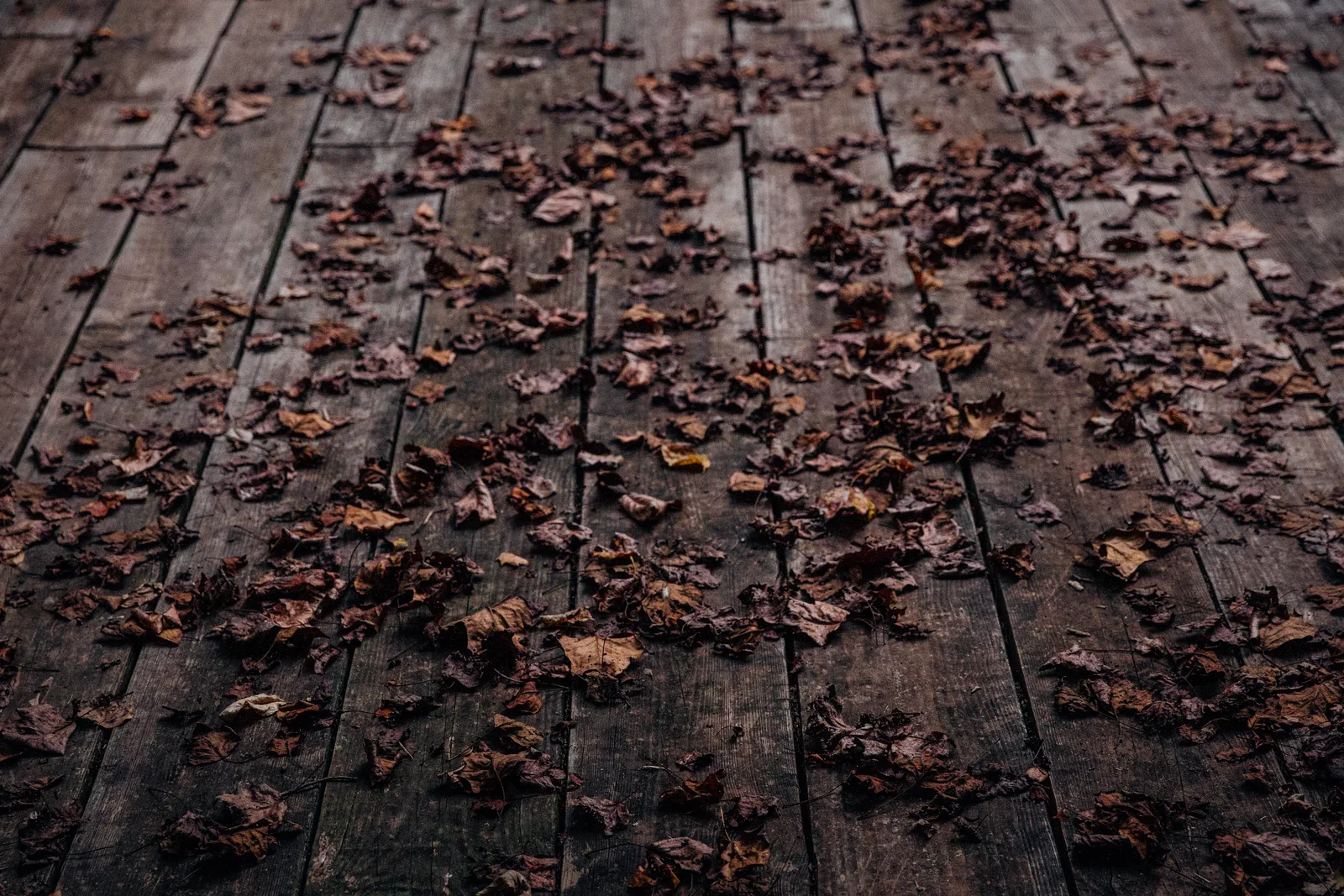 Fallen autumn leaves scattered across weathered gray deck boards